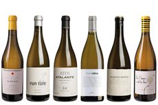 Galicia Panel Tasting northern Spanish white wines