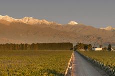 VdL-Vista-Flores-apaisada.jpg