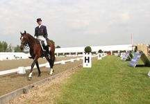 hickstead_dressage1-hr.jpg