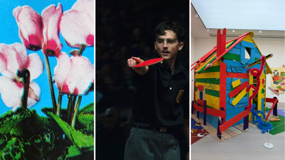 wallpaper editors picks of the week