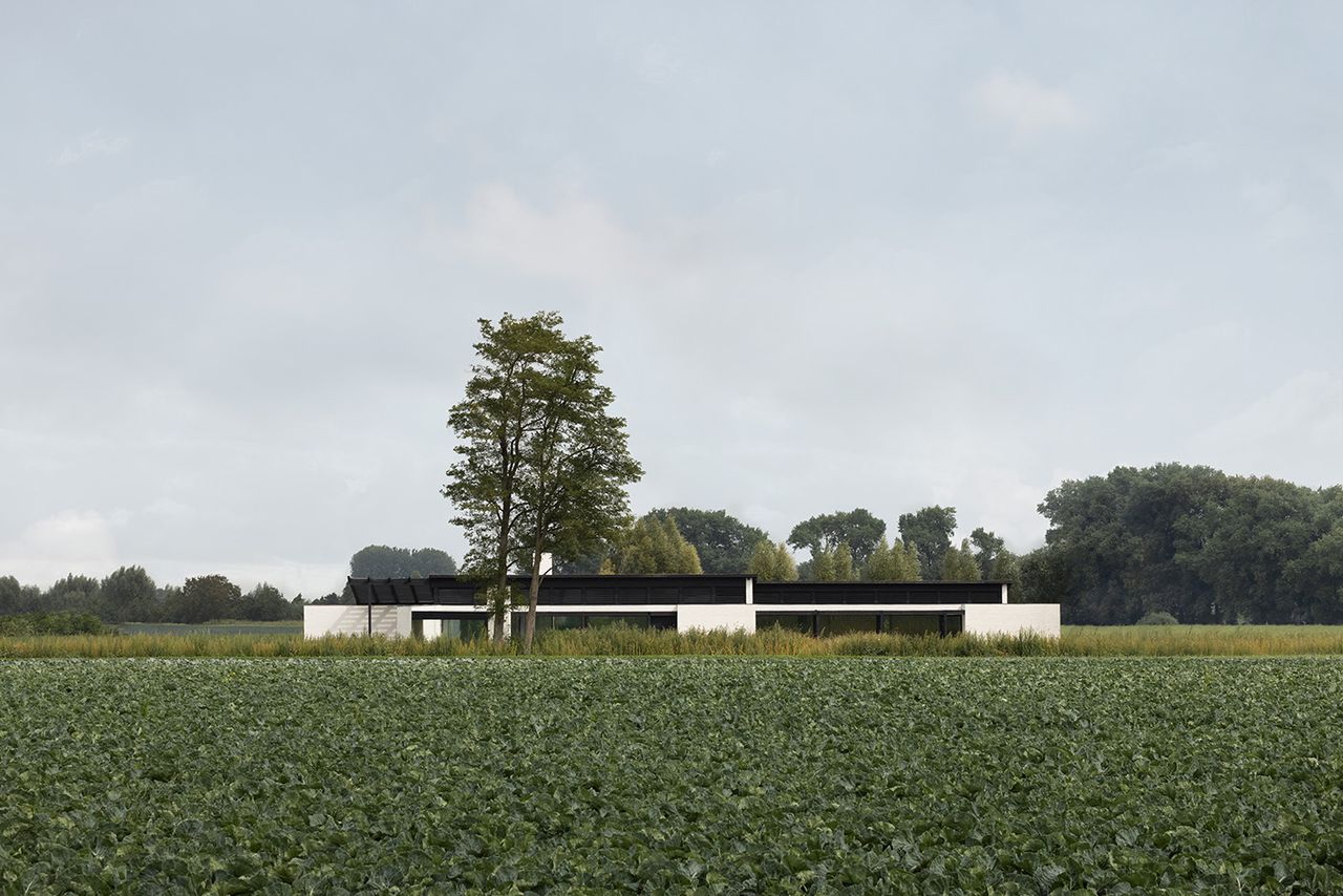 house in the fields