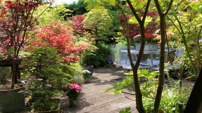 A small backyard with autumnal foliage and a small deck with a glass outdoor dining set