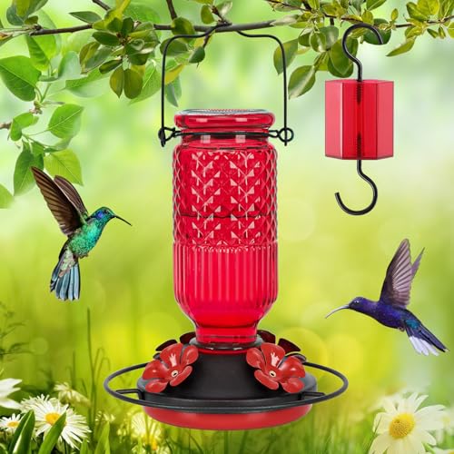 Feed Garden Glass Hummingbird Feeder, 16oz Outdoor Hanging Bird Feeder With Ant Moat, 4 Bee-Proof Feeding Ports, 360&amp;deg; Perch, Leak-Proof, Red