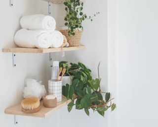 White bathroom with plants and products