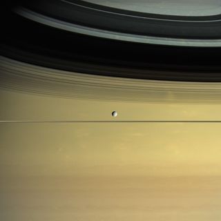 Dione and Ring Shadows on Saturn