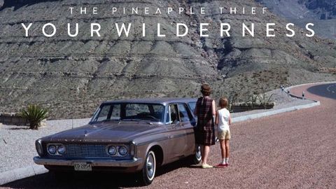 The Pineapple Thief Your Wilderness album cover