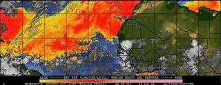 This special satellite image shows dry, dusty air (in yellow and red) blowing off the African continent into the Atlantic Ocean.