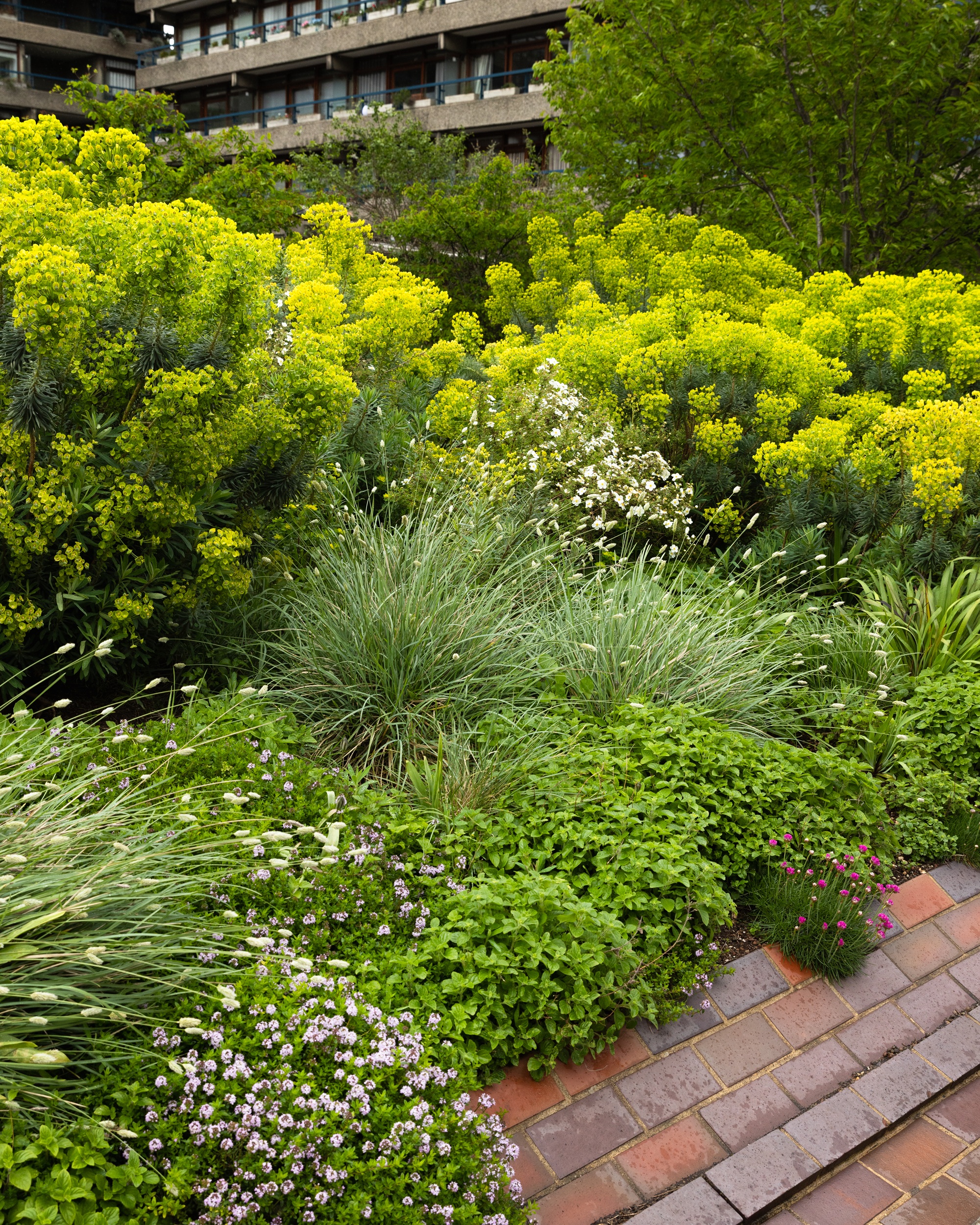 beech gardens at london's barbican building