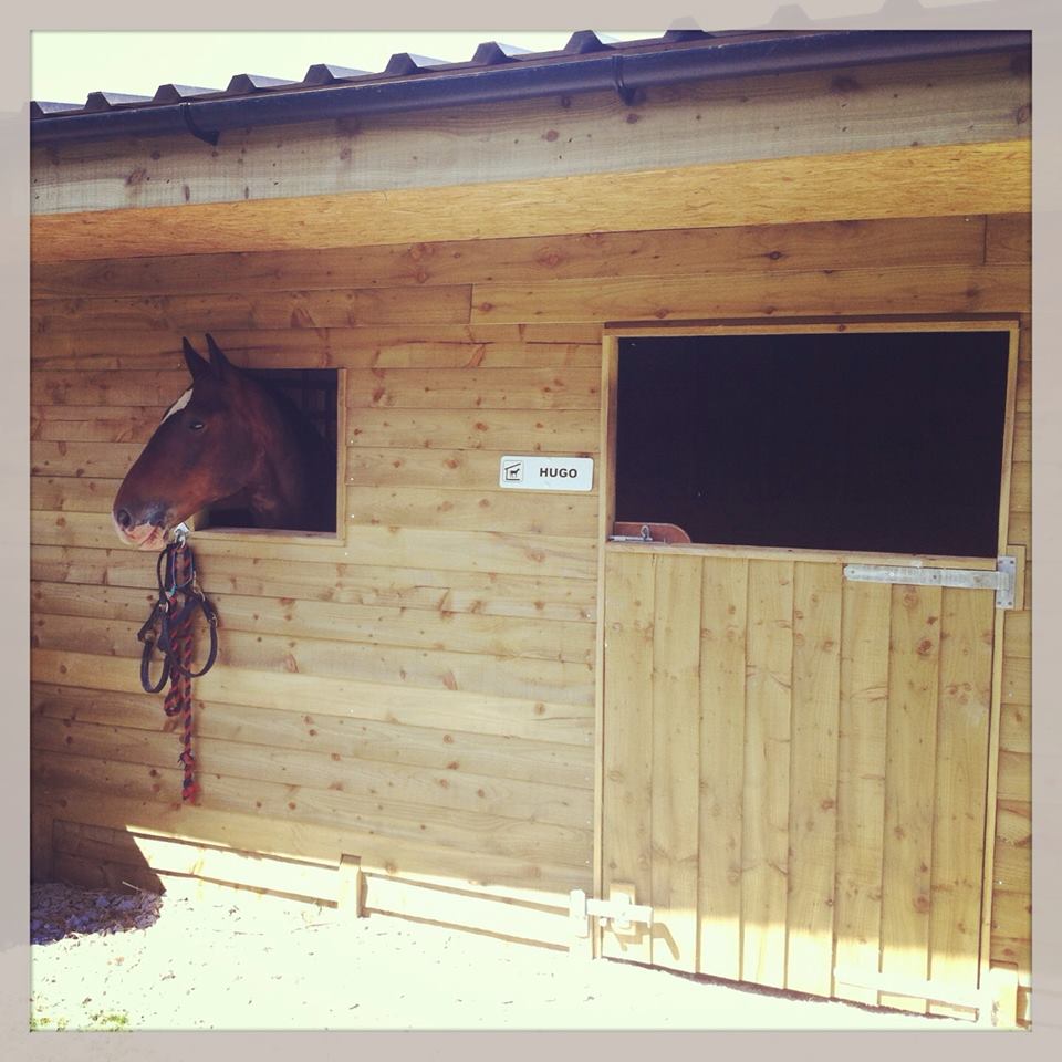Stable