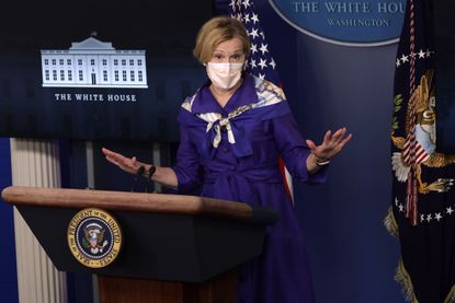 Debora Birx speaks in Washington