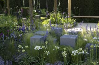 a spring garden with lavender