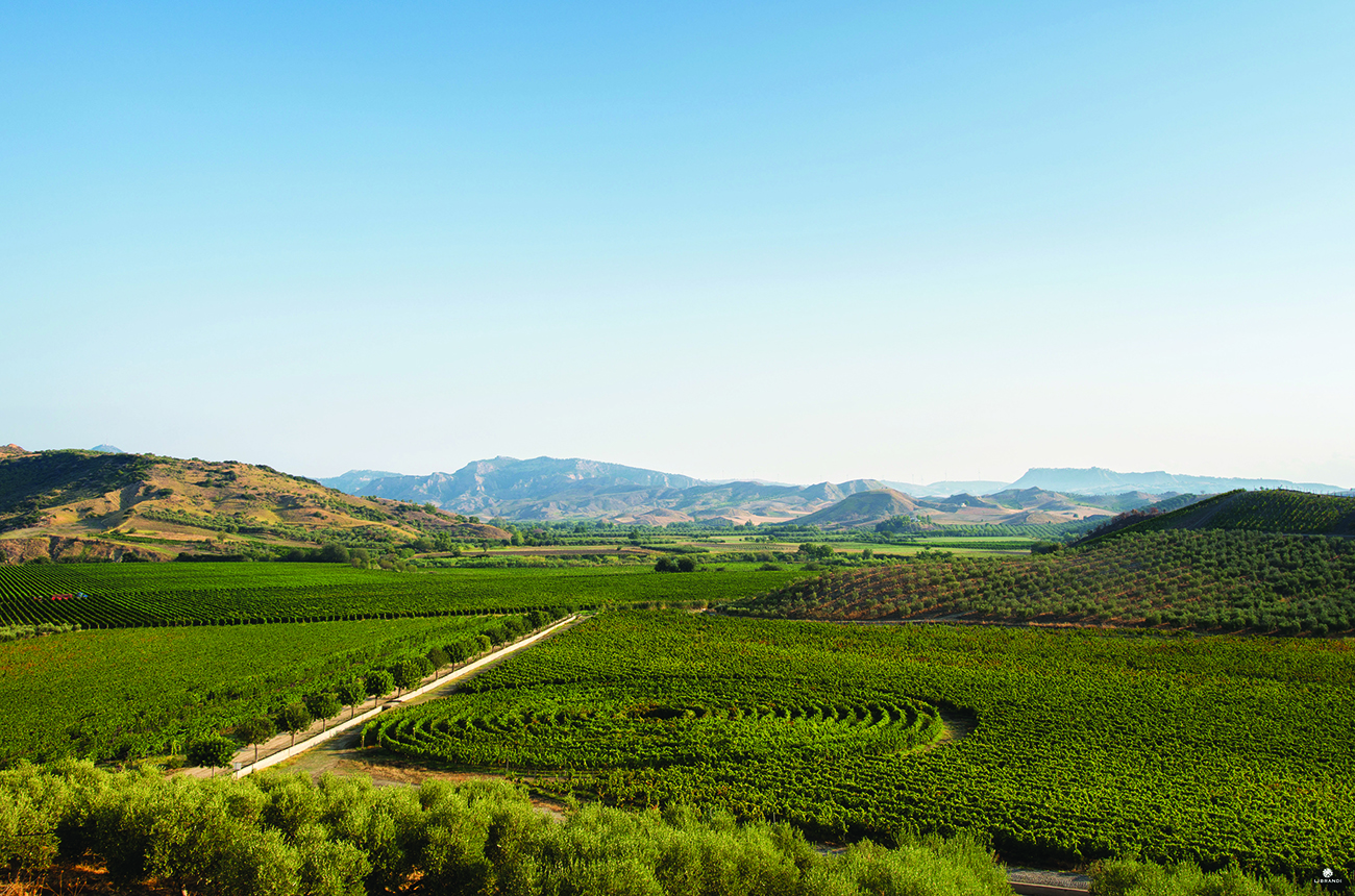 Librandi&amp;rsquo;s Tenuta Rosaneti estate