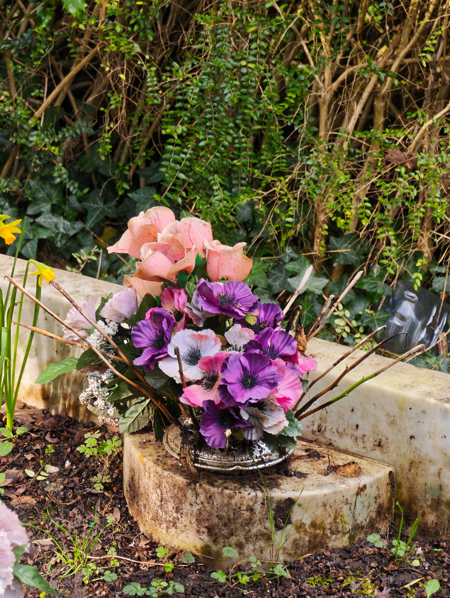 A photo taken on a Leica Leitzphone 200MP smartphone camera