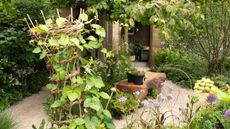 The Garden of the Future at The RHS Chelsea Flower Show 2025