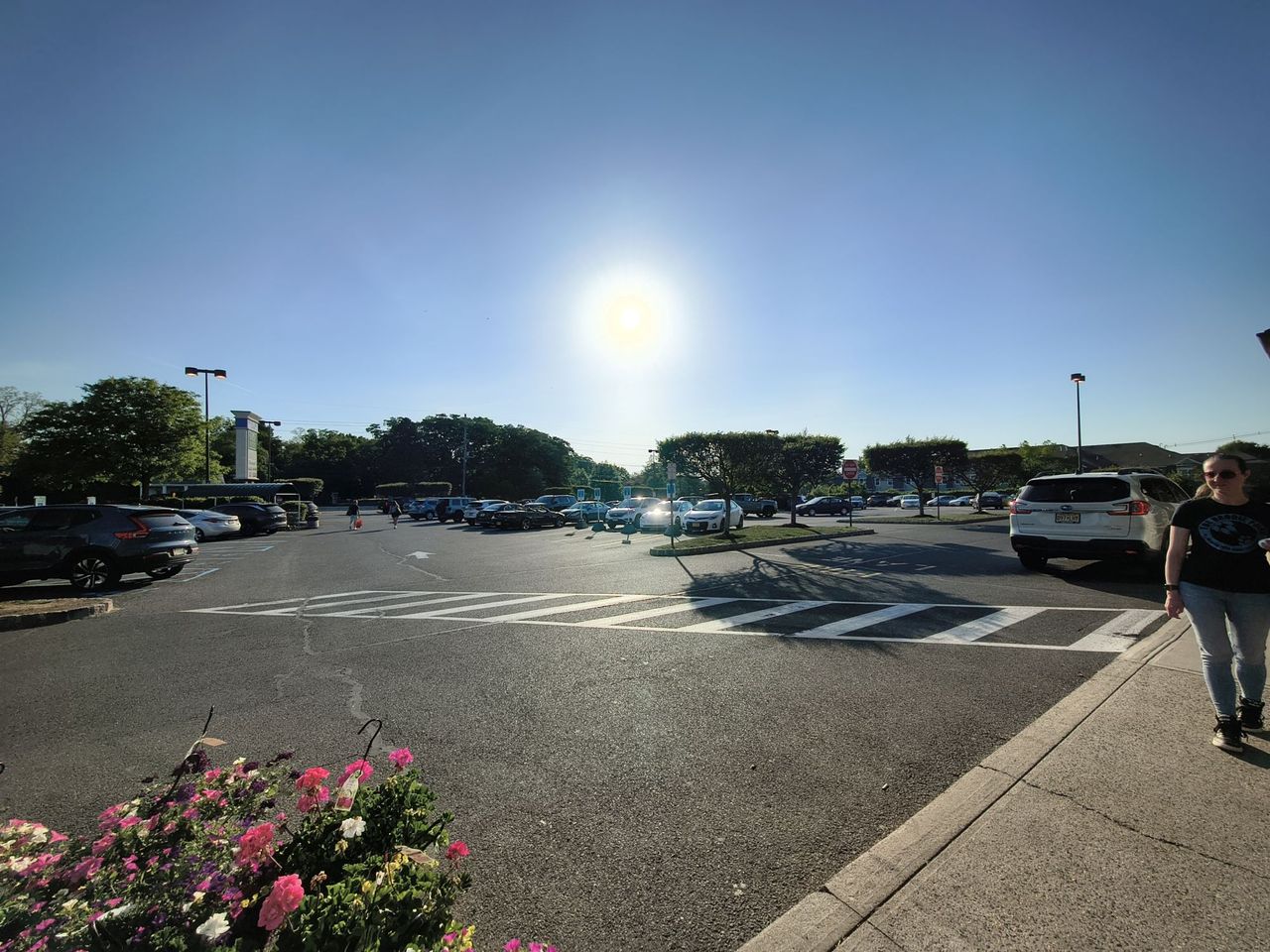 Motorola Razr 2026 camera sample.