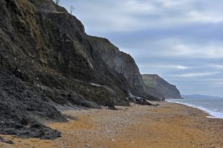 Cliff and beach between Lyme Regis and Charmouth along the Jurassic Coast, Dorset, southern England, UK