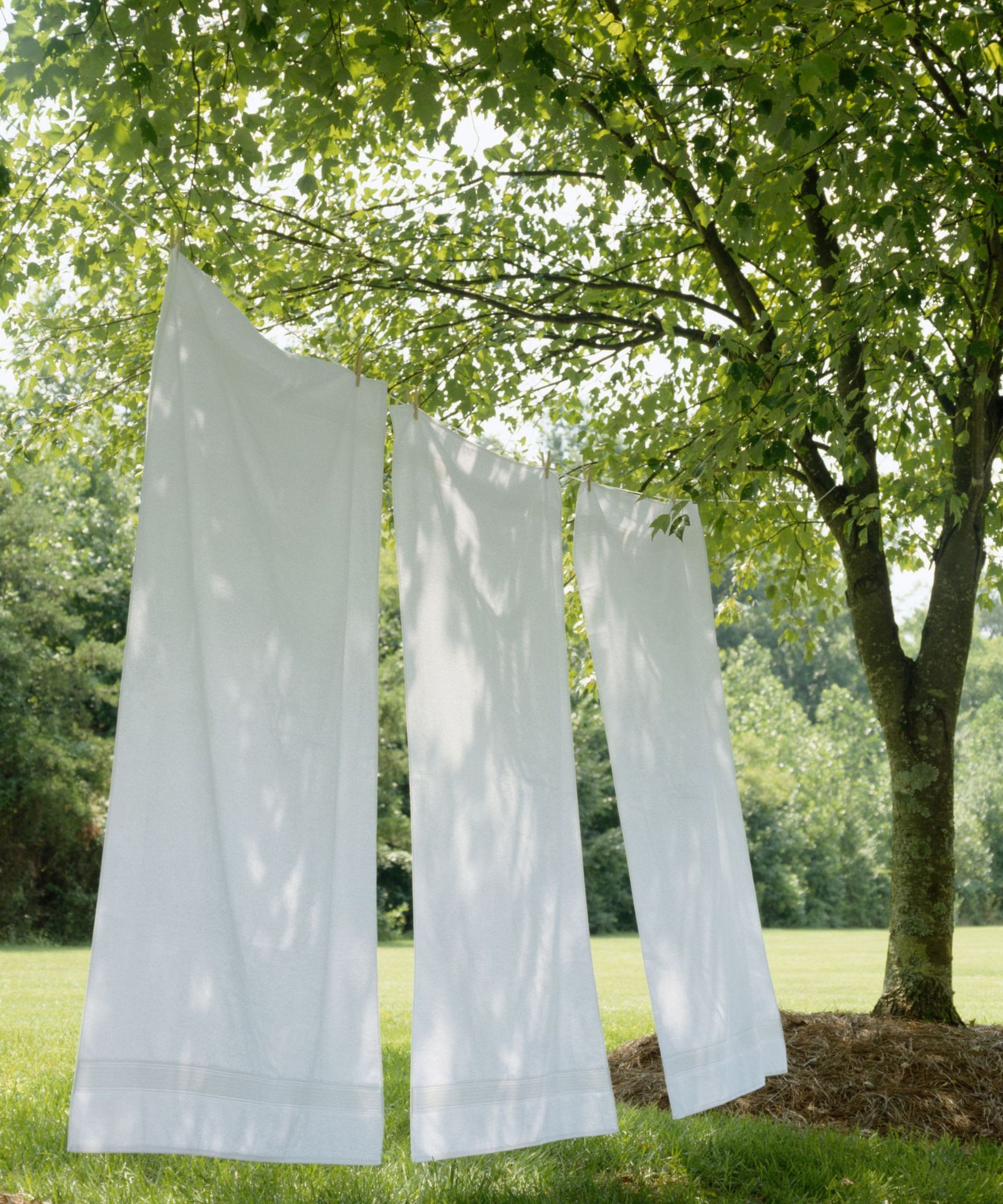 Linen sheets hanging from a tree.