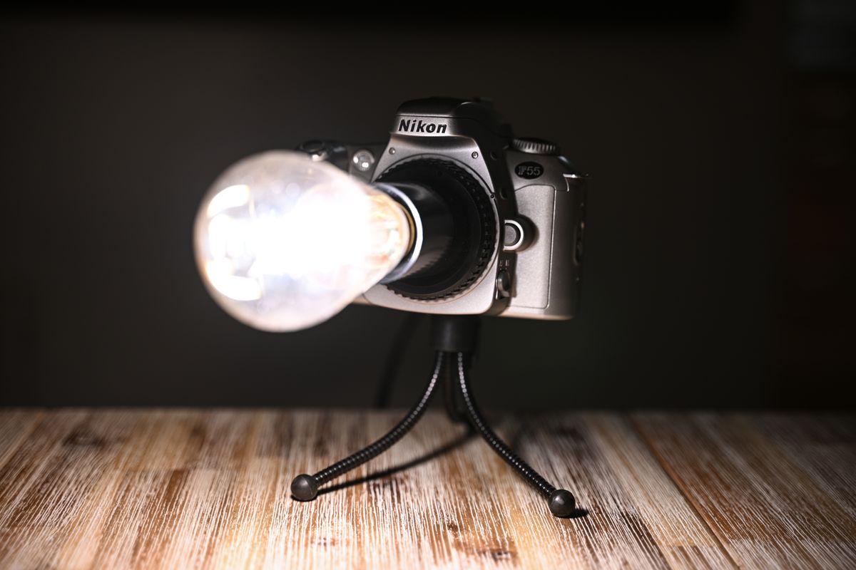 Nikon Z9 sample