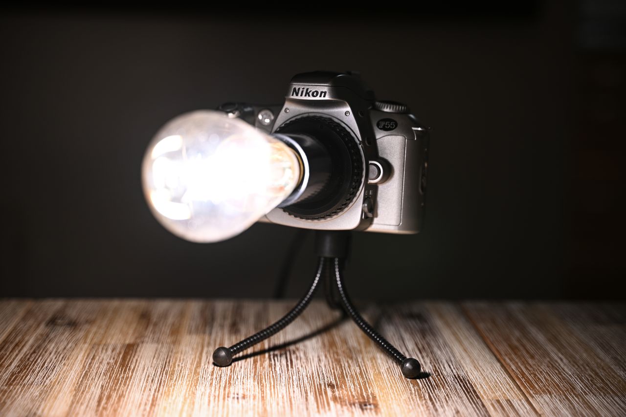 Nikon Z9 sample