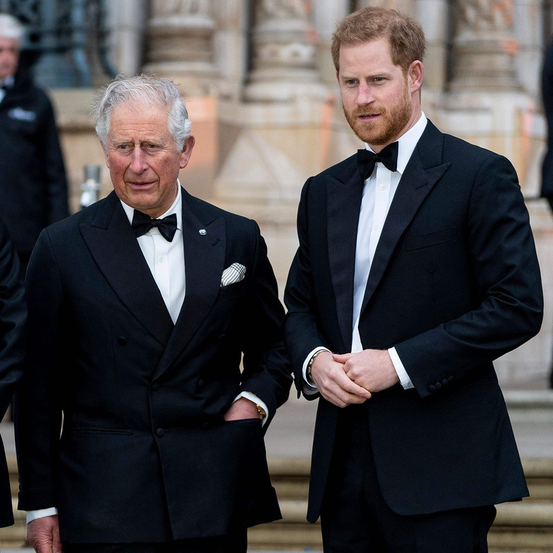 (L-R) Britain's Prince William, Duke of Cambridge, British naturalist, documentary maker and broadcaster David Attenborough, Britain's Prince Charles, Prince of Wales and Britain's Prince Harry, Duke of Sussex, pose upon arrival for the Global Premiere of "Our Planet" in London on April 4, 2019. (Photo by Niklas HALLE'N / AFP) (Photo credit should read NIKLAS HALLE'N/AFP via Getty Images)