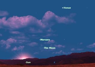 Mercury and Venus at Maximum Elongation