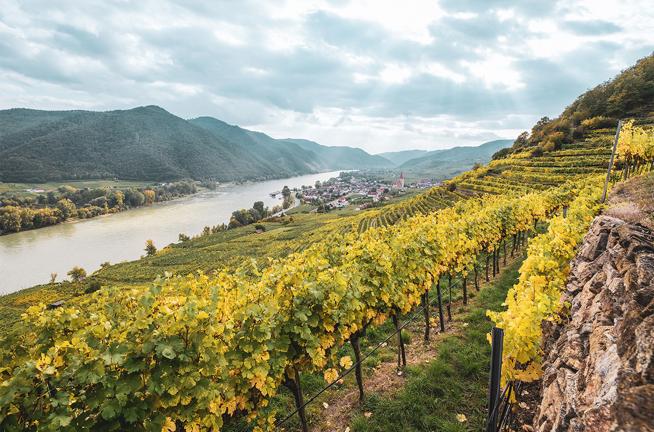 Domane-Wachau_Blick-auf-Weissenkirchen_(c)-Domane-Wachau