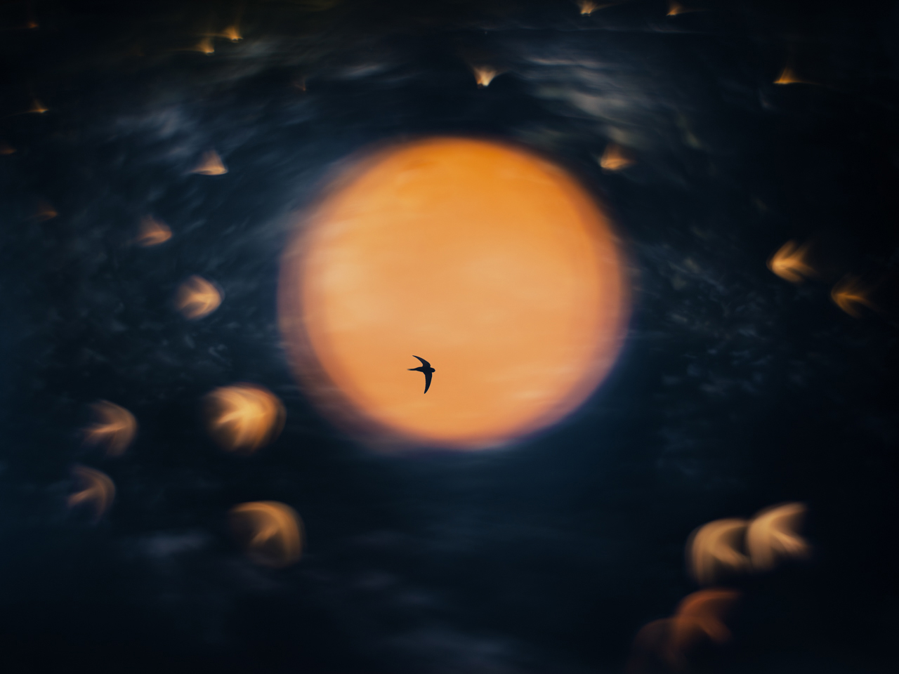 A silhouette of a bird flies towards an orange glowing orb, surrounded by swirling dark tones and ethereal light trails