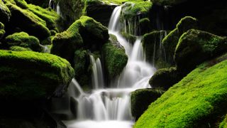 Scenic view of waterfall in forest,India