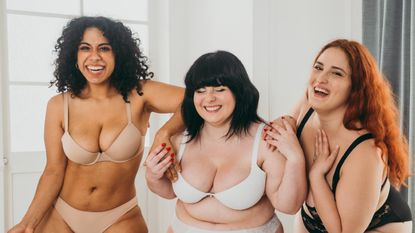 Portrait Of Smiling Women in lingerie, Standing At Home - stock photo