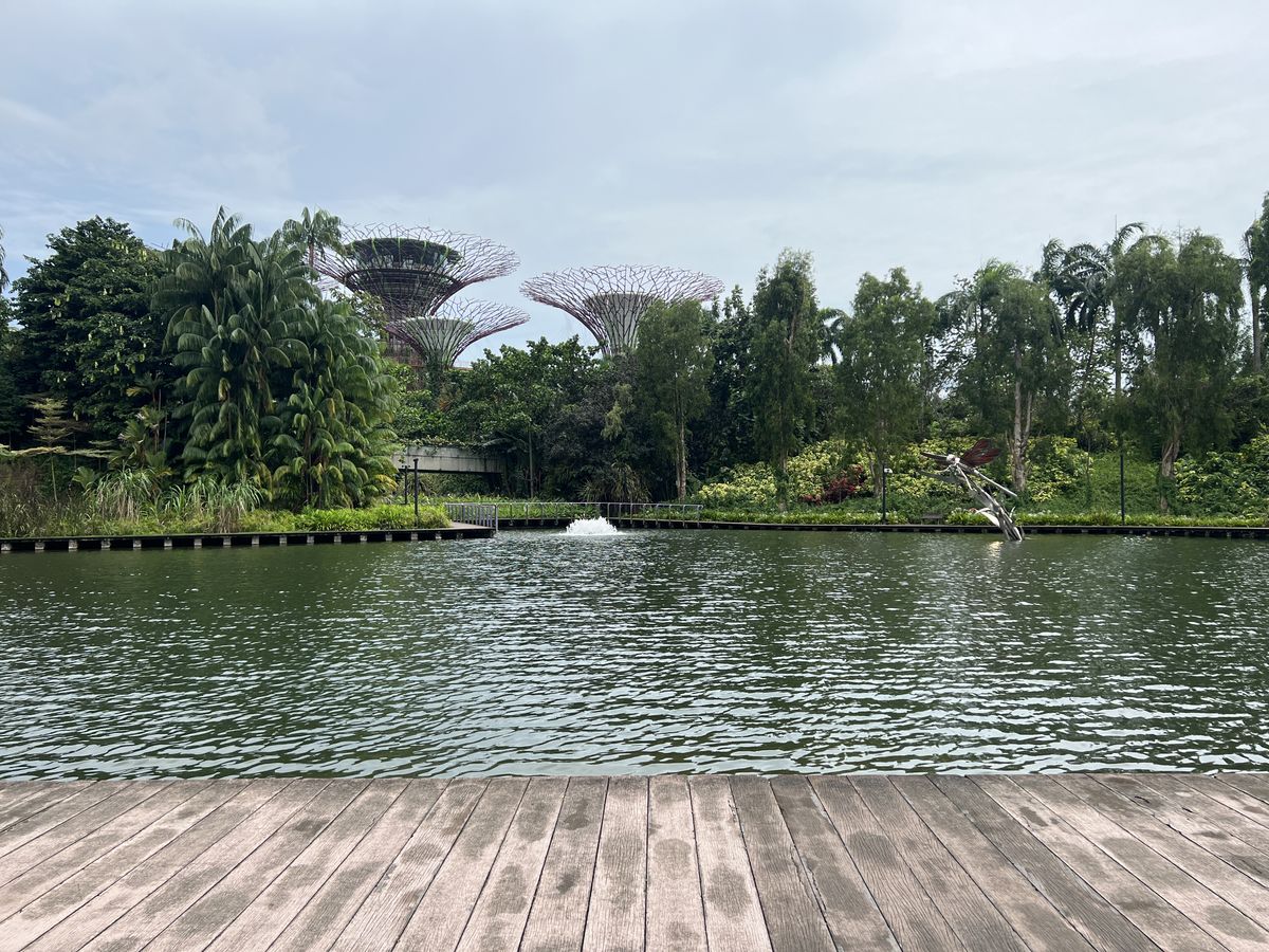 Example image of a lake with trees behind