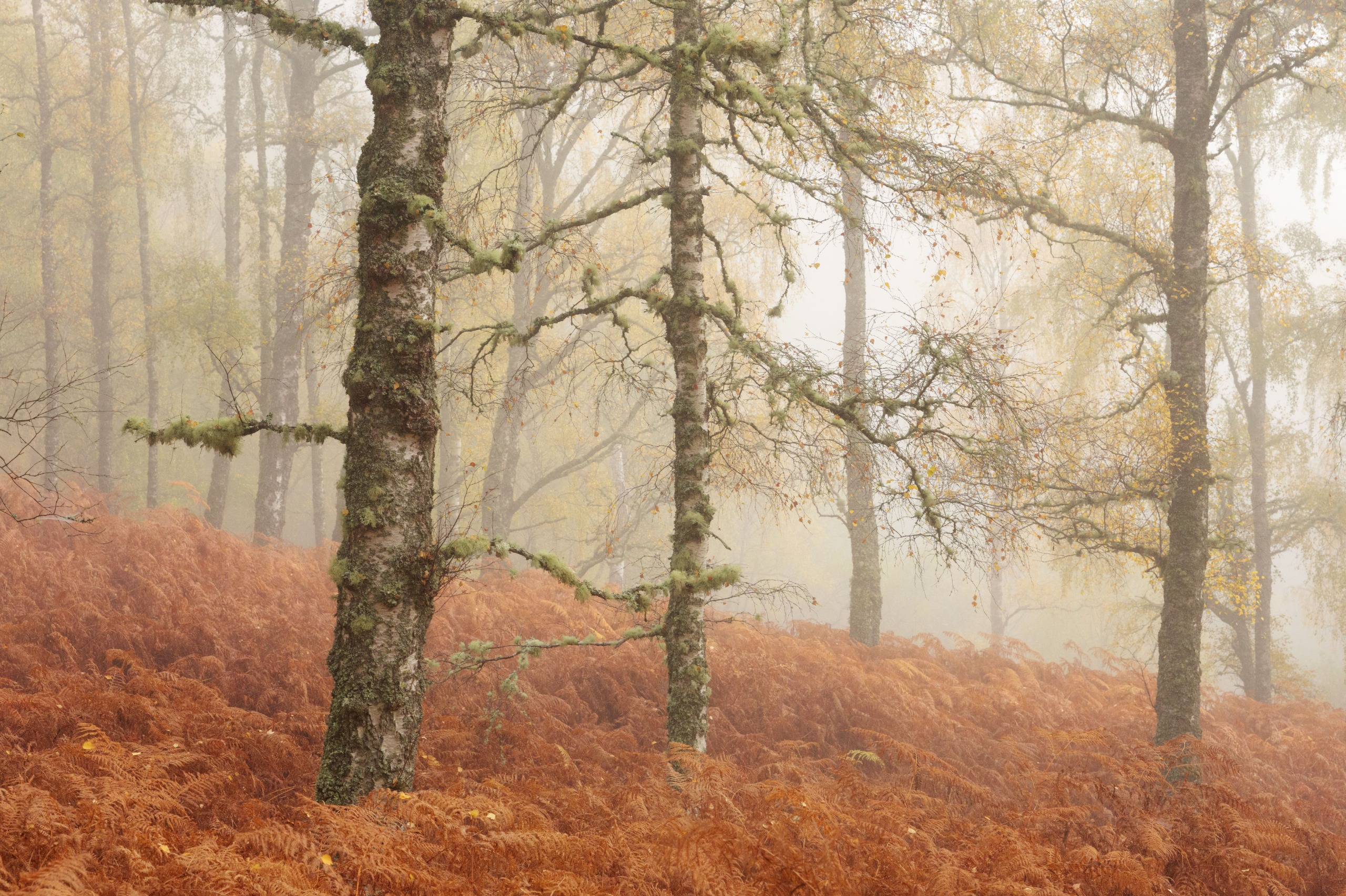 Winning image from Camera House Photographer of the Year 2026