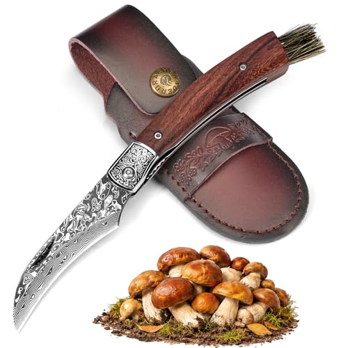 Drachenader Mushroom Knife With Brush, Folding Foraging Knife