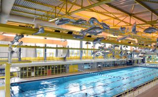 Silver fish structures above a swimming pool