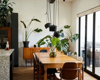 Dining table with multiple green happy tall plants and black chairs