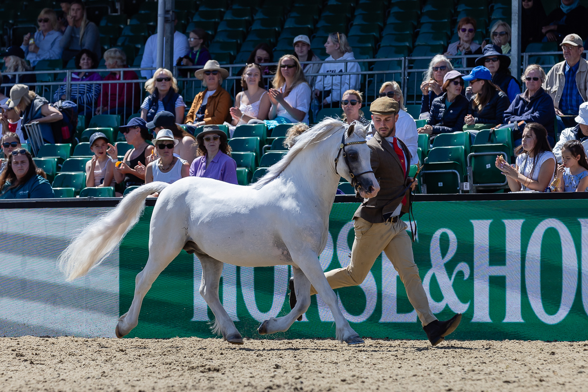 RWHS_H&amp;amp;H In Hand Supreme_-29