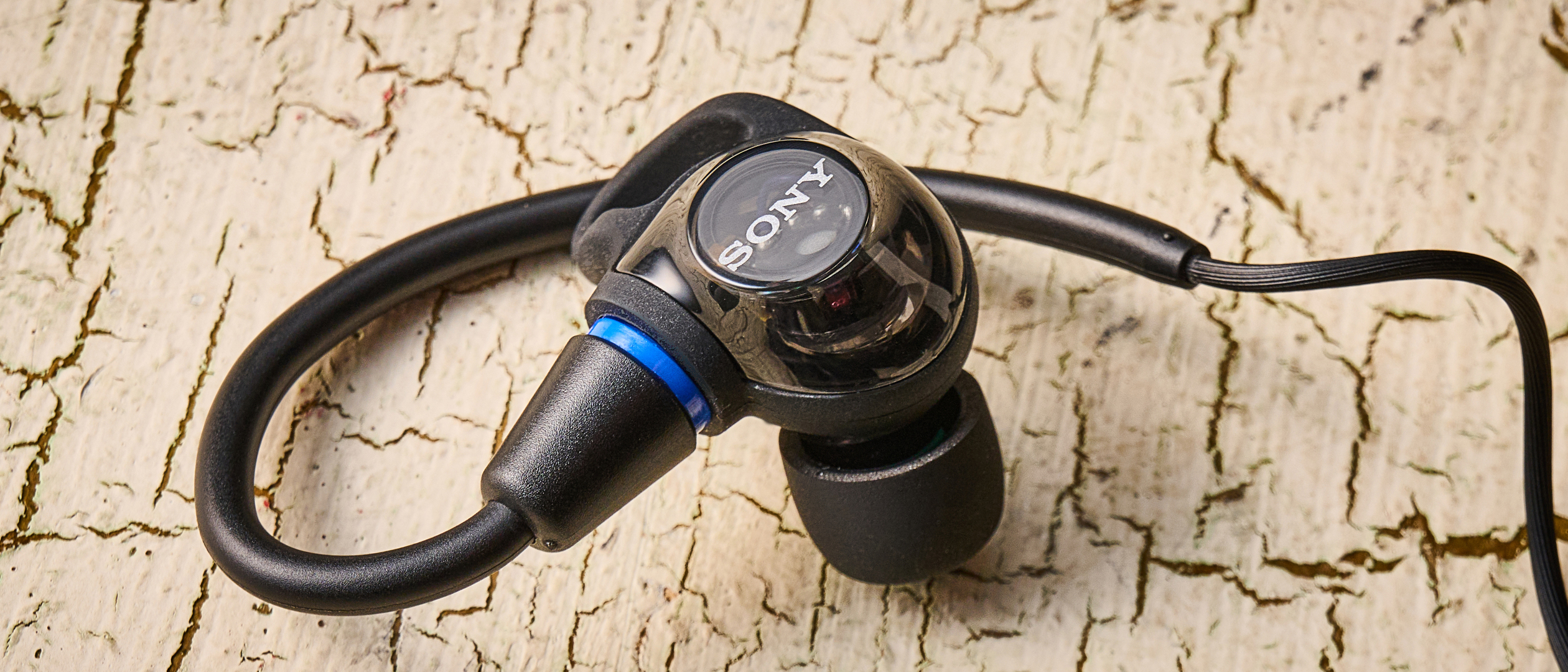 Sony IER-M500