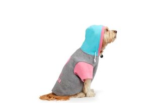 A dog wearing the Bond & Co. Valentine's Day Sorry I'm Taken Sequined-Heart Dog Hoodie