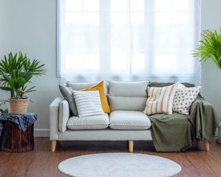 a small grey couch in front of a window with pillows and blankets and plants on the side