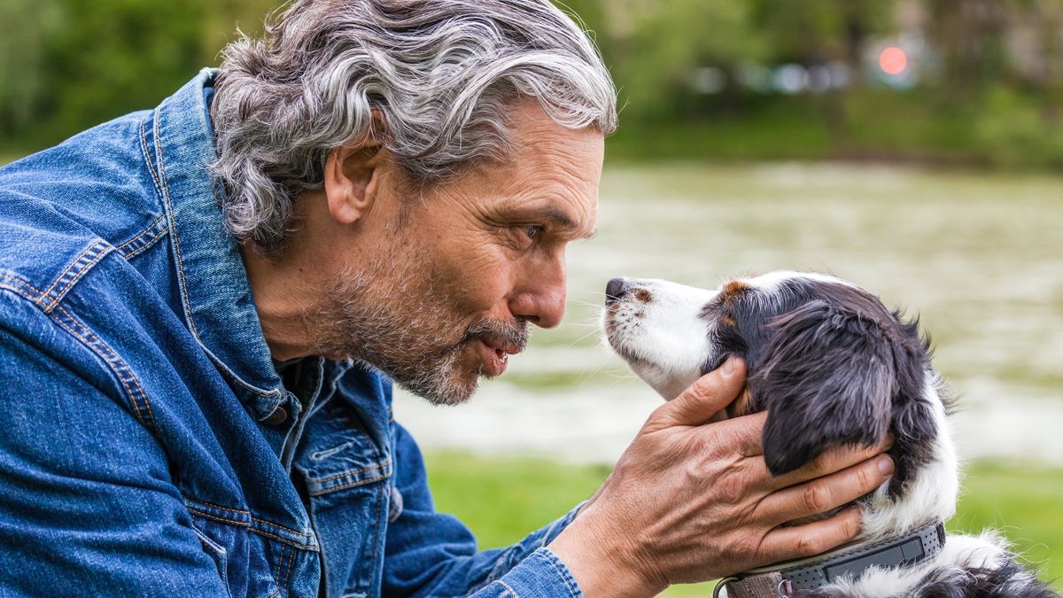 Can dogs understand humans? Man holding his dogs face on either side and looking into its eyes