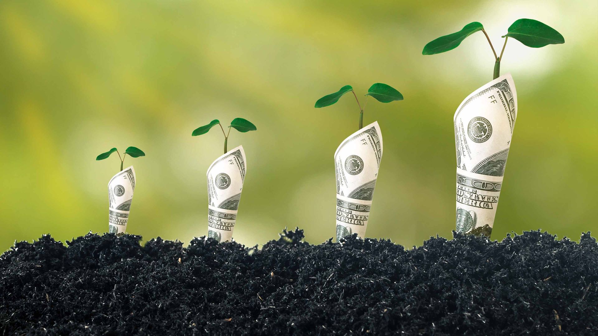 ProShares Russell 2000 Dividend Growers