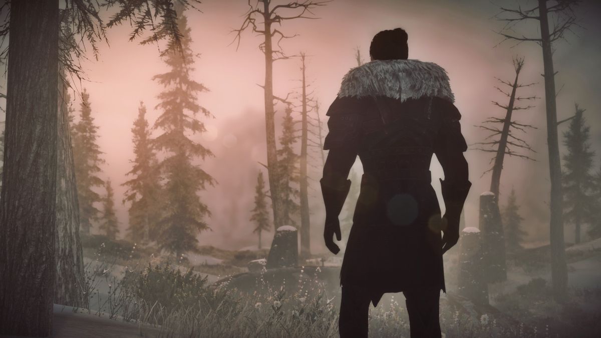 Skyrim Dark Souls mods