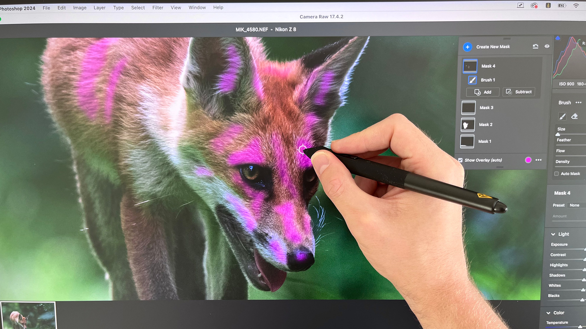 Hand drawing purple mask on Xencelabs Pen Display 24+ with image of fox on the screen