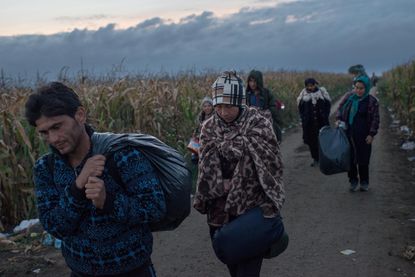 Migrants gather on the border between Croatia and Serbia