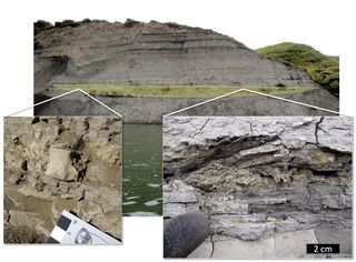Layers of sediment and rock above the Colville River where the research team found the teeth of a tiny new Cretaceous mammal.