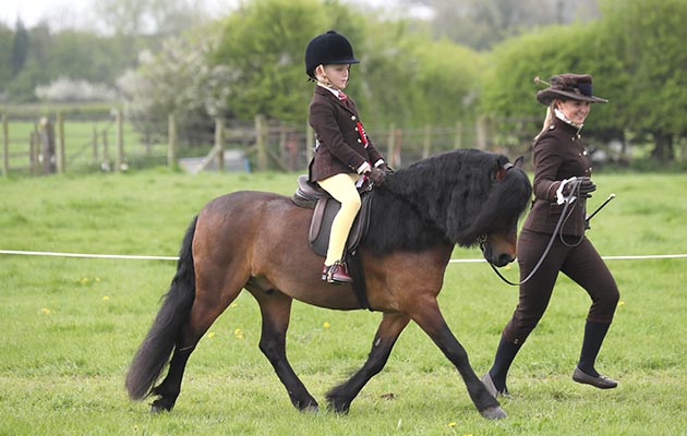 1BDartmoor