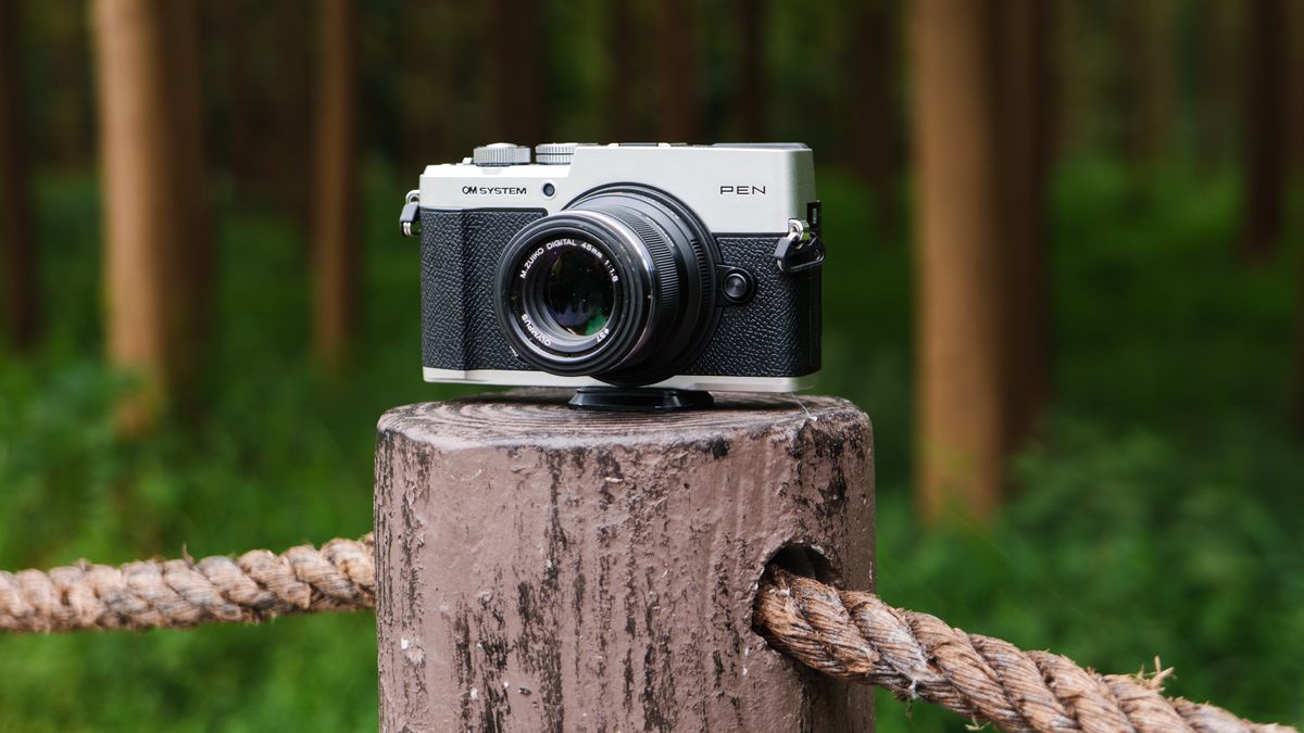 OM System PEN mirrorless camera on a wooden post on the edge of a forest in a nature reserve