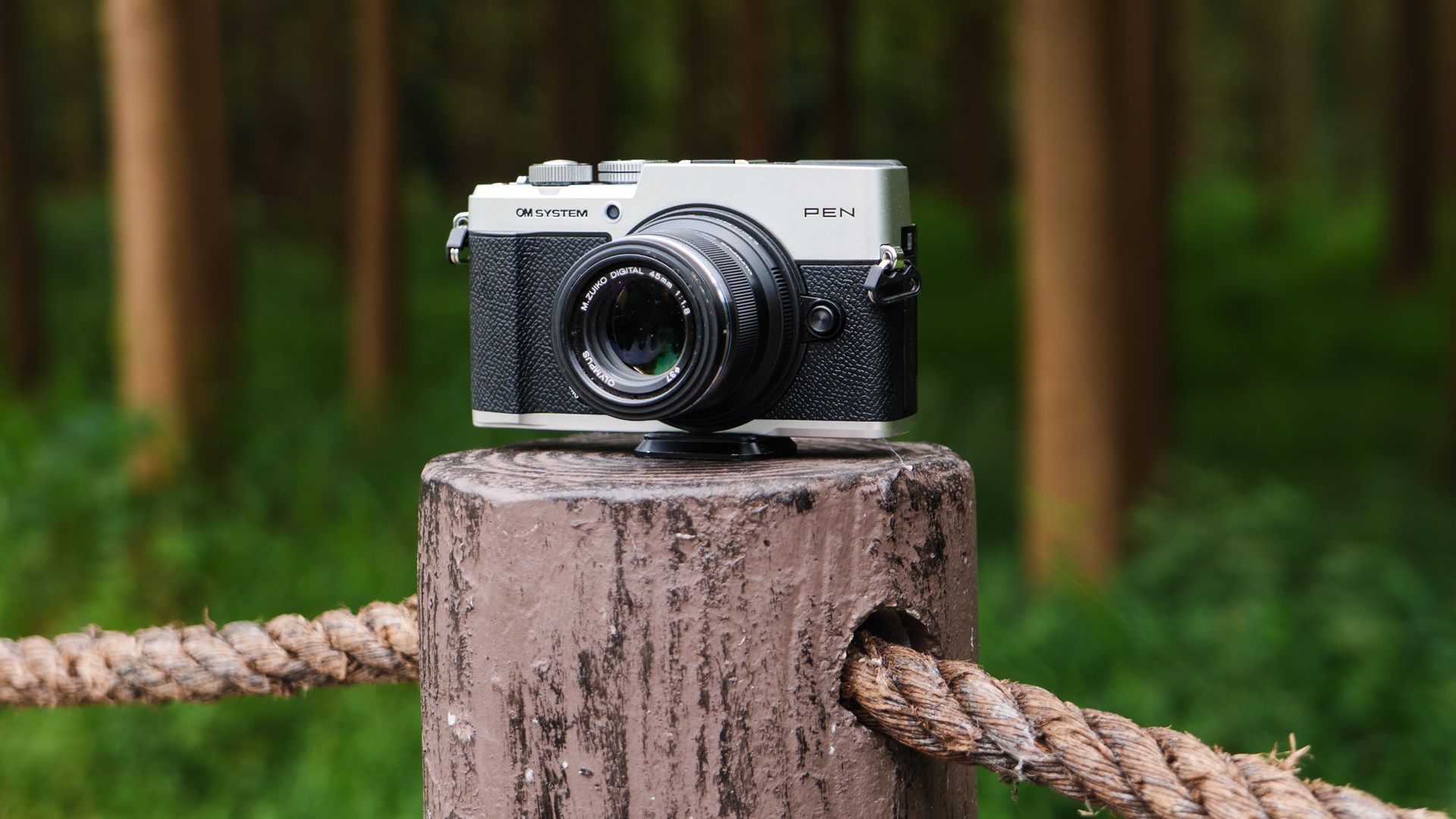 OM System PEN mirrorless camera on a wooden post on the edge of a forest in a nature reserve
