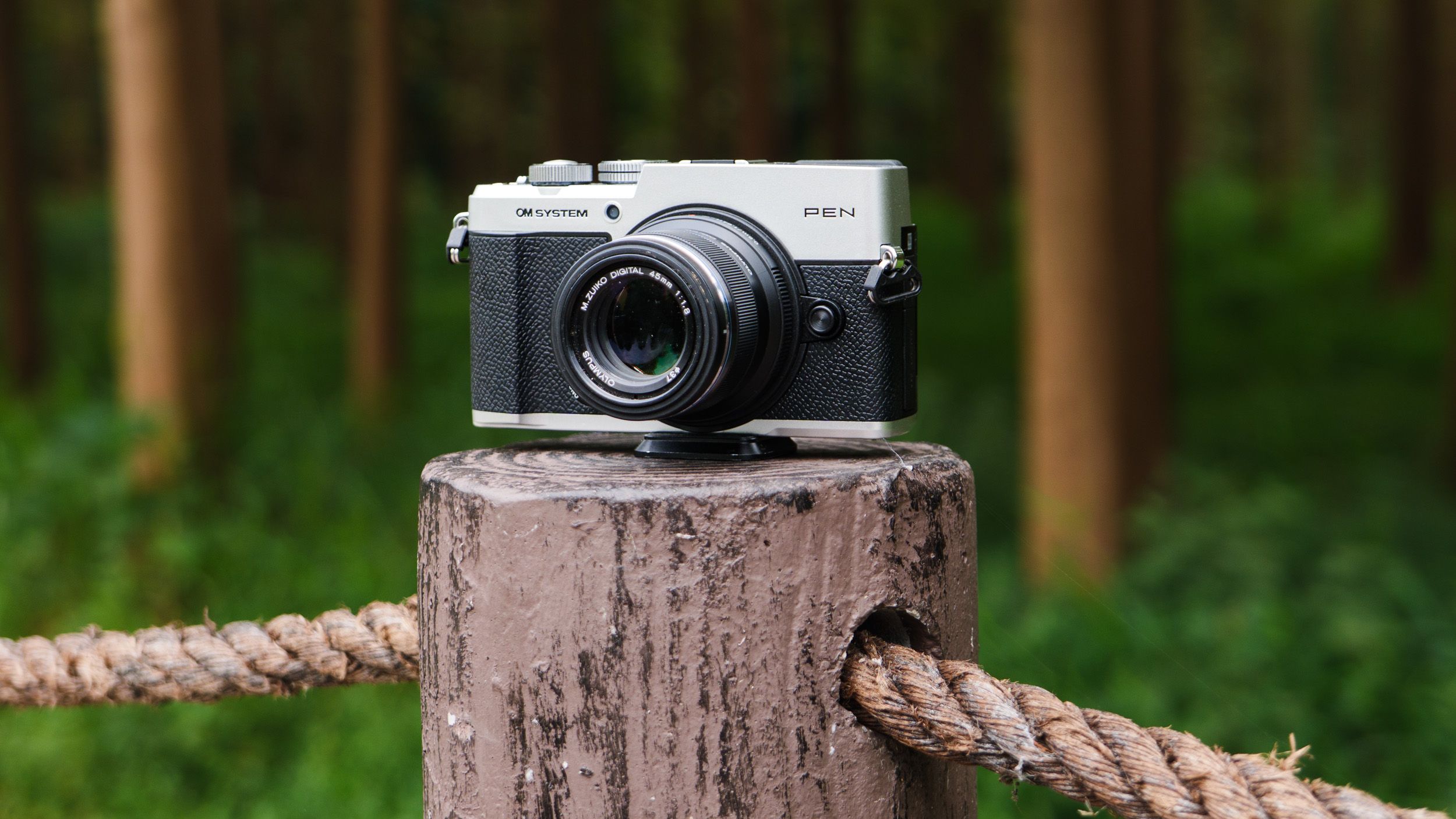 OM System PEN mirrorless camera on a wooden post on the edge of a forest in a nature reserve