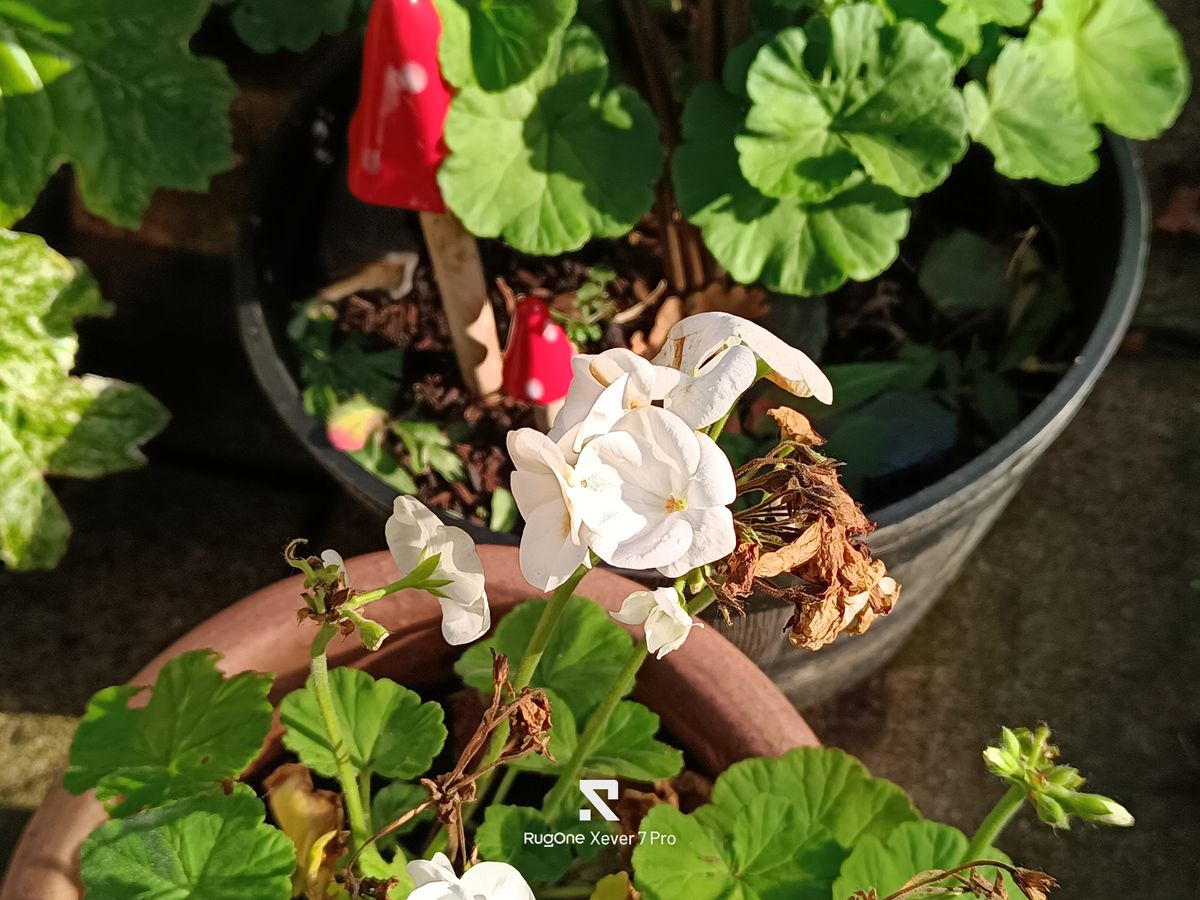 RugOne Xever 7 Pro Photo Examples