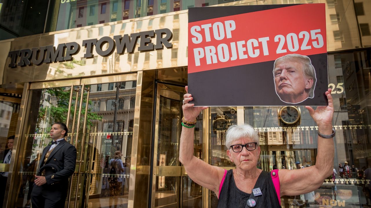 A protestor holding a banner reading No Dictators In The USA outside Trump Tower